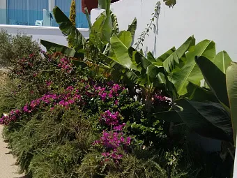 Отель VRISSAKI BEACH HOTEL 3*