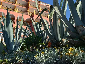 ROYAL ORCHID 4*