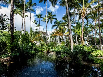 Отель VISTA SOL PUNTA CANA 4*, Доминикана, Пунта-Кана. 