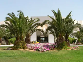 Отель PALM AZUR 4*