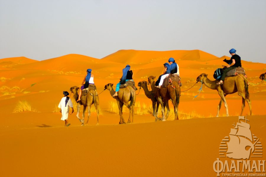 На верблюде по Сахаре