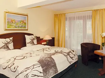 Отель MANNI SPORTHOTEL 4*