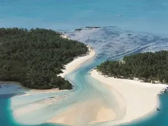 TROPICAL ATTITUDE 3*