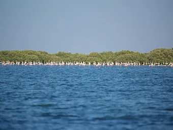 FLAMINGO RESORT BY BIN MAJID 3*