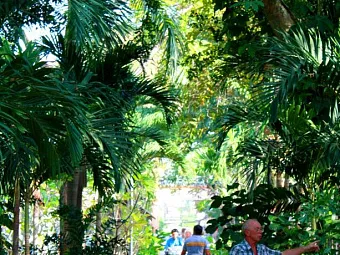 PATTAYA GARDEN 3*