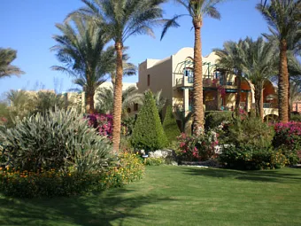 Отель SOL Y MAR CLUB MAKADI 4*