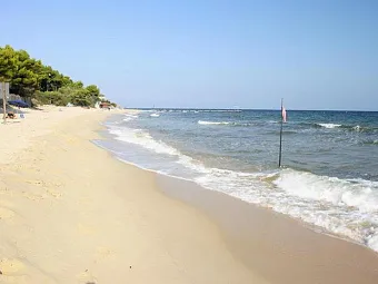ABAMAR 4*