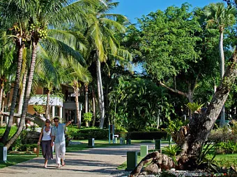 Отель PARADISUS PUNTA CANA 5 *