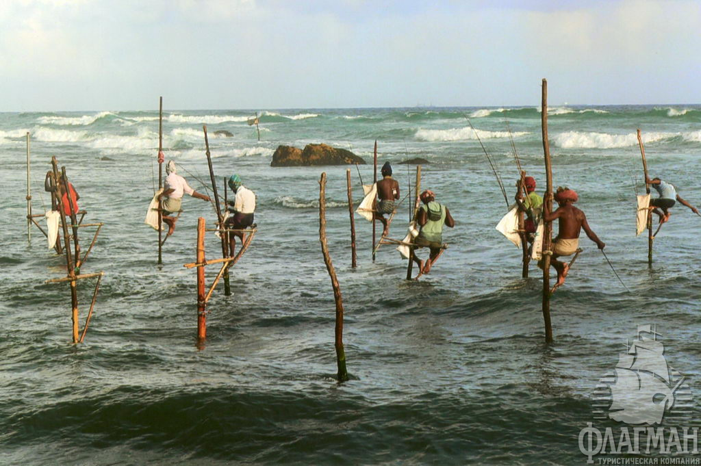 Оригинальный способ рыбной ловли. Так рыбачат только на Шри-Ланке.