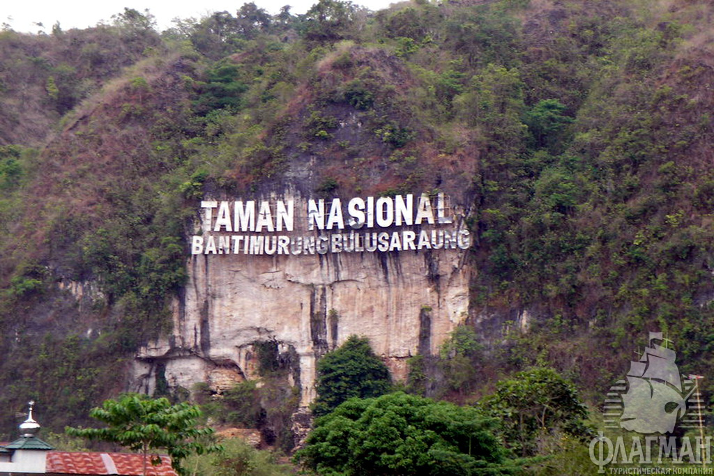 Национальный парк Бантимурунг.