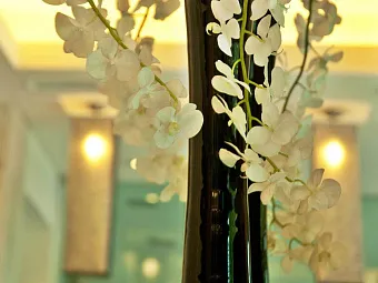 Отель TURIM ALAMEDA HOTEL 4*