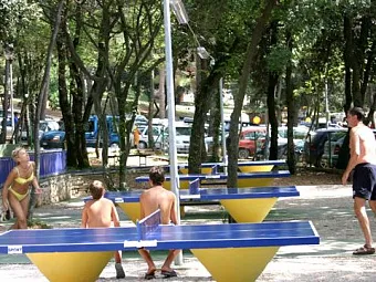 Отель Hotel Delfin 2*