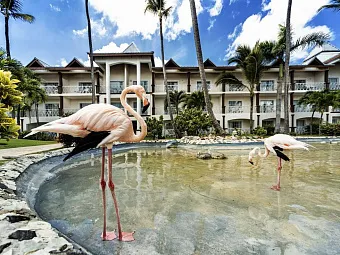 Отель BE LIVE GRAND PUNTA CANA 5*.