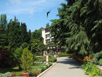 Крым. Алушта. Отель ДЕМЕРДЖИ 3*.