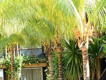 Отель VERANDA POINTE AUX BICHES HOTEL MAURITIUS 4*
