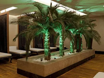 Оздоровление и СПА в DELPHIN IMPERIAL 5*