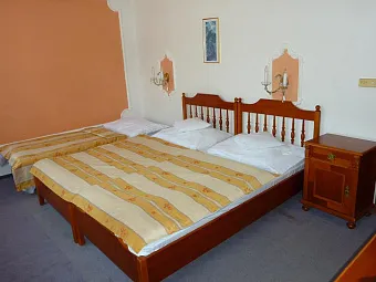 Отель VYSEHRAD 4*