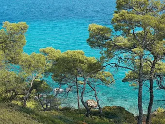 Отель GRECOTEL PELLA BEACH 4*
