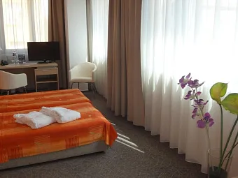 Отель EHRLICH 4*
