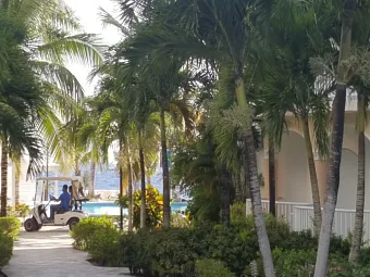 WHALA!BAYAHIBE 4*