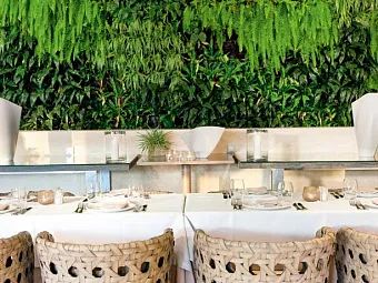Отель SANI BEACH HOTEL & SPA 5*