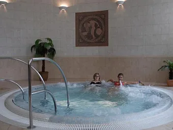  Отель BRISTOL KRALOVSKA VILLA 4*