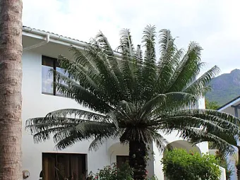 Отель SUN RESORT SEYCHELLES 3*