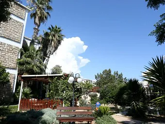  Отель DIONYSOS CENTRAL HOTEL 3*