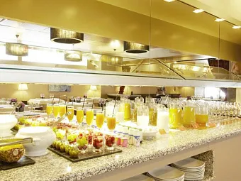 Отель PLAZA ANDORRA LA VELLA 5*