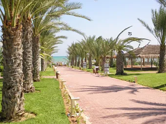 Отель PALM AZUR 4*