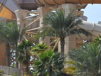 Отель JUMEIRAH BEACH HOTEL 5*