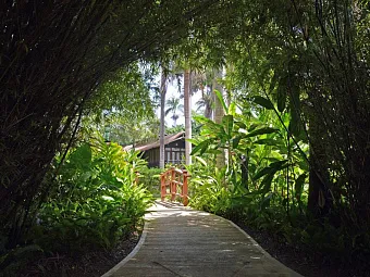 SUNSET AT THE PALMS RESORT 4*