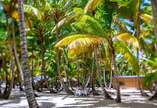 Остров Саона - обед, купание, пляжный волейбол и красивая природа