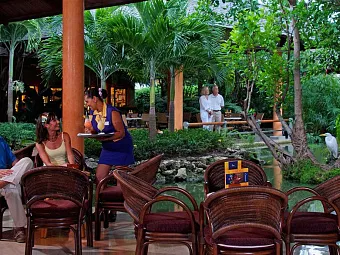  Отель IBEROSTAR BAVARO SUITES 5*, Доминикана, Пунта-Кана.