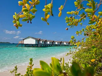 Отель REETHI BEACH RESORT 4*