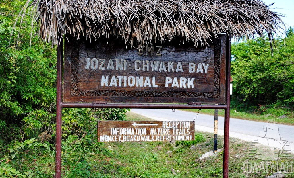 Национальный парк Лес Джозани - крупных зверей здесь нет.