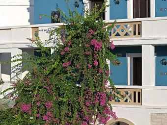 Отель ALDEMAR ROYAL MARE & SUITES 5*