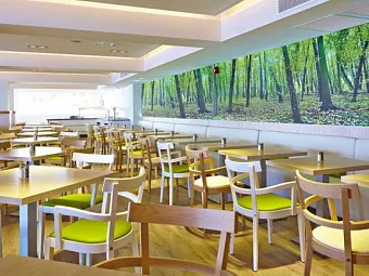 Отель FLAMBOYAN CARIBE 4*