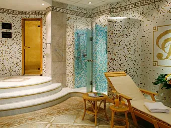  Отель DVORAK SPA HOTEL 4*