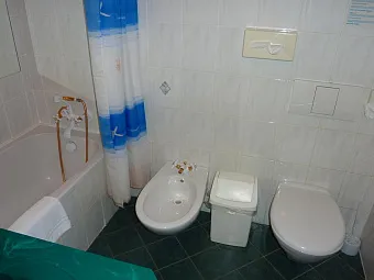 Отель VYSEHRAD 4*