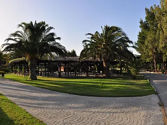 Отель PORTO CARRAS SITHONIA BEACH 5*