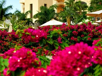VINCCI SELECCION LA PLANTACION DEL SUR 5*