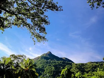 Отель SAVOY RESORT & SPA SEYCHELLES 5*