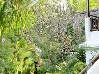 EMERAUDE BEACH ATTITUDE 3*