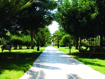 SURAL HOTEL 5*