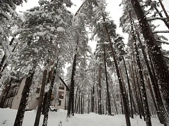 Отель ЛАГУНА 3*