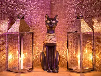 Отель ROYAL COURT 4*