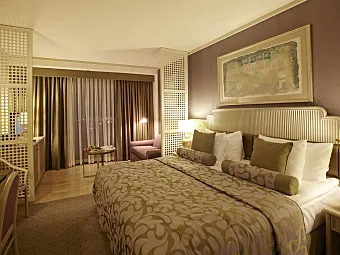 STANDARD ROOM LAND VIEW
